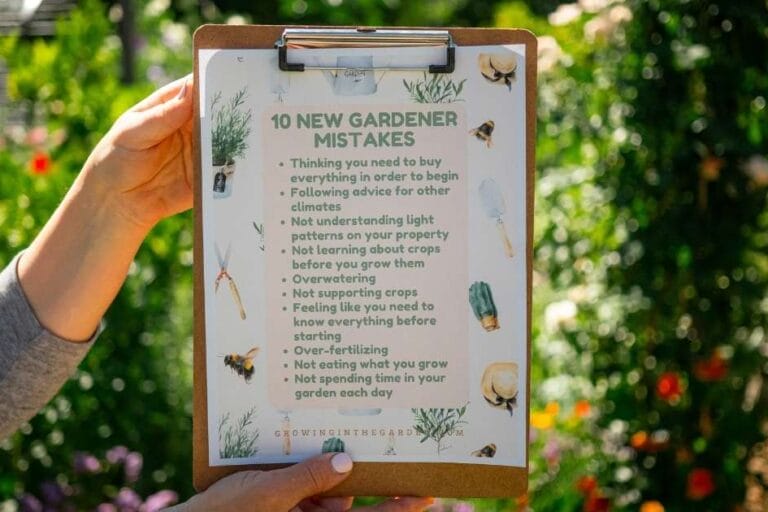 10 New Gardener Mistakes: What To Do Instead featured image