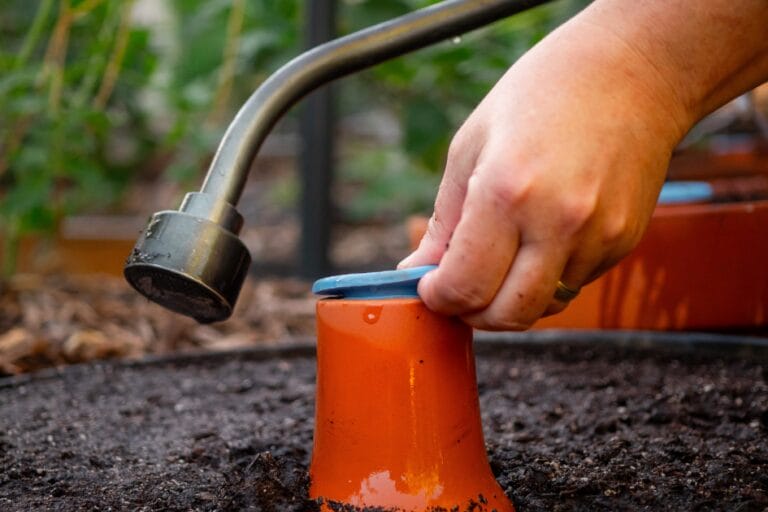 The Best Way to Water Containers featured image
