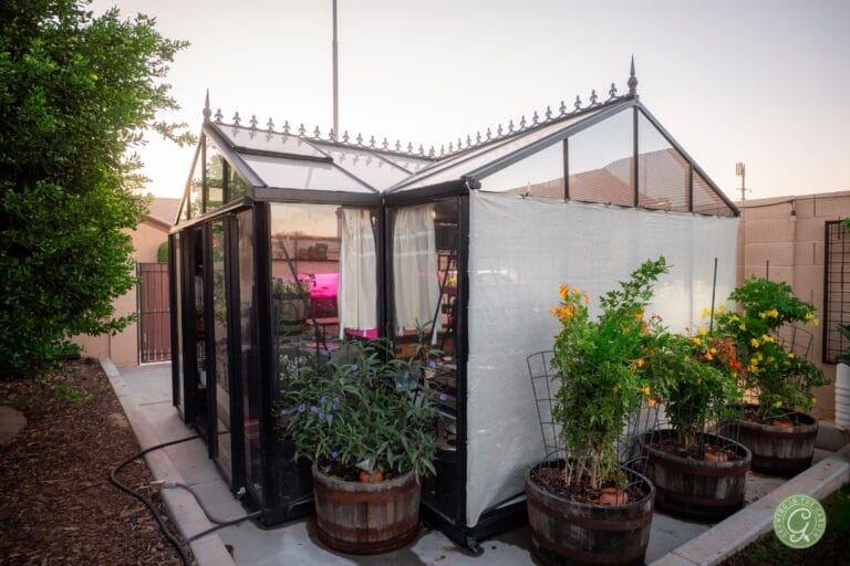 Greenhouse Tips for Hot Summer Climates featured image