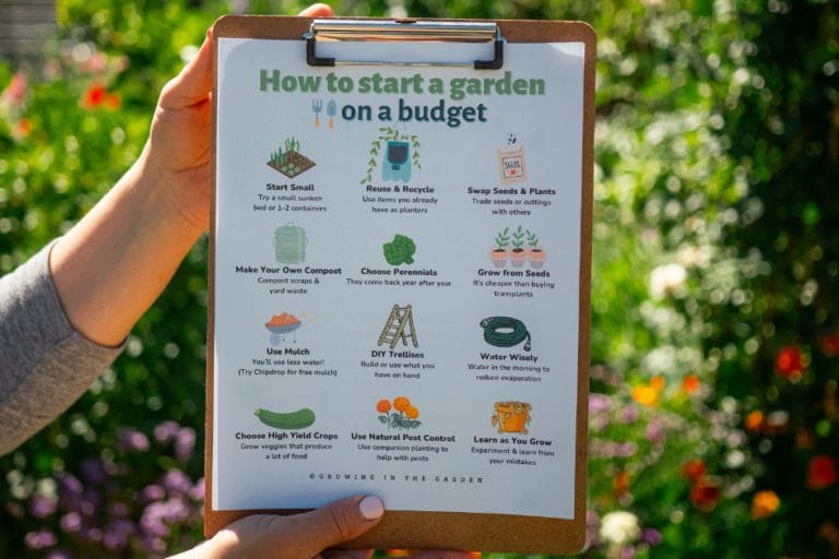 How to Start a Garden on a Budget featured image