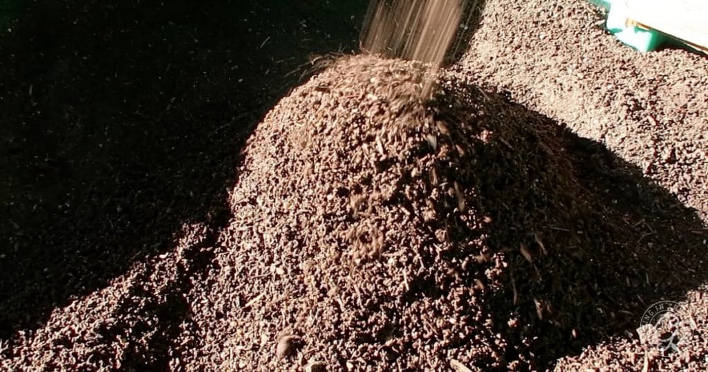 Why Add Worms to Your Garden: Benefits of Worm Castings