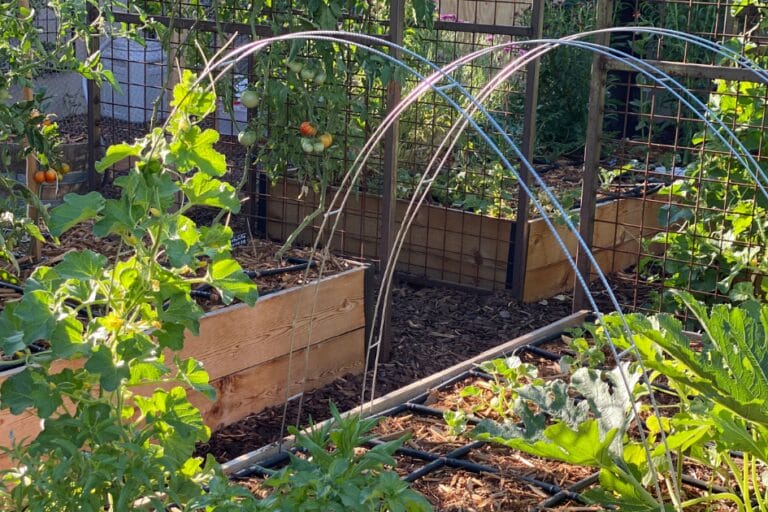 Add Vertical Space in the Garden featured image