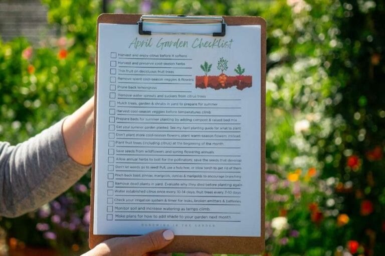 Arizona Garden in April featured image