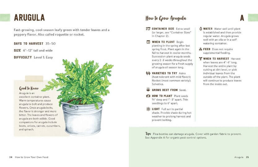 How to Grow Your Own Food: An Illustrated Beginner's Guide to Container Gardening