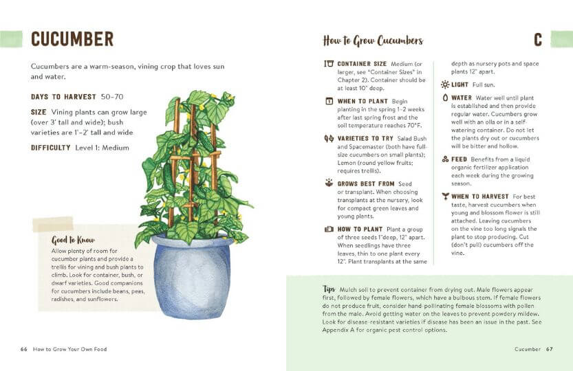 How to Grow Your Own Food: An Illustrated Beginner's Guide to Container Gardening