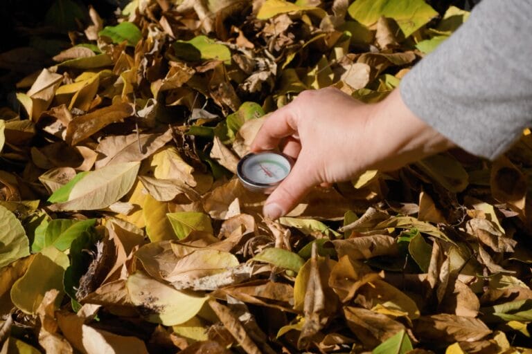 How to Compost: A Step-by-Step Guide featured image