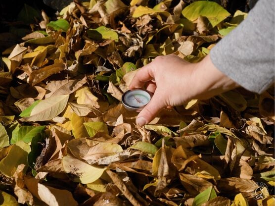 Compost Thermometer featured image