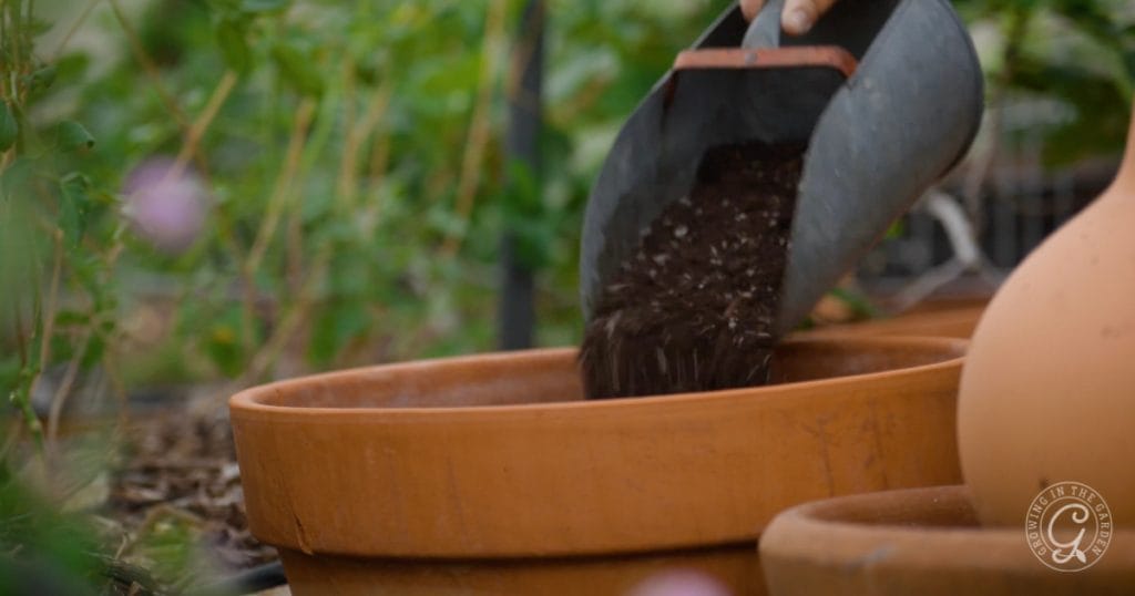 Fill containers all the way up with soil. Don't use fillers. 