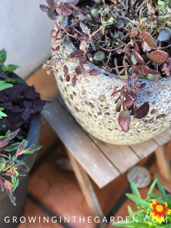 How to Plant Pots - Tips for Container Gardening