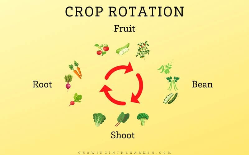 Crop Rotation Chart