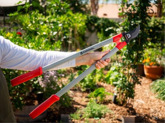 Corona Bypass Loppers featured image