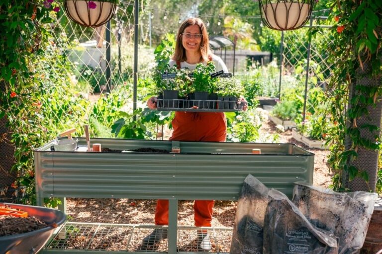 How to Grow in Elevated Garden Beds featured image