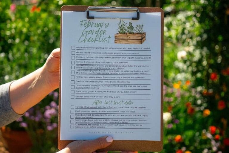 Arizona Garden in February featured image