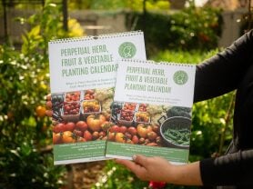 Vegetable, Herb & Fruit Planting Calendar Product