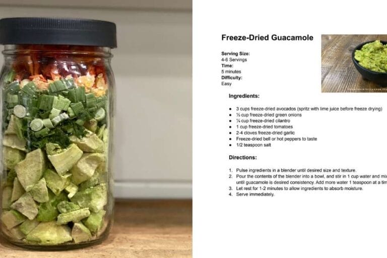 Guacamole in a Jar: Freeze-Dried Guacamole featured image