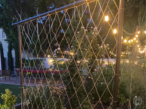 Jute Netting for Freyr Trellis featured image