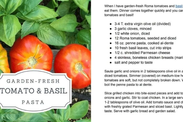 Garden Fresh Tomato and Basil Pasta featured image