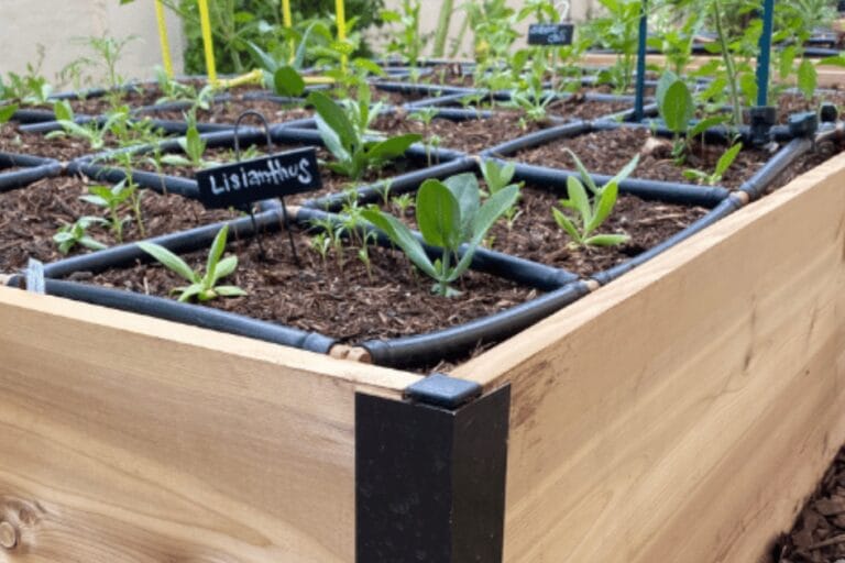 Garden Makeover: Before, During and After featured image