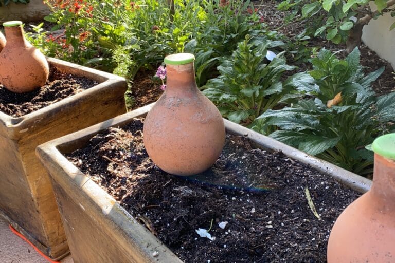 Gardener’s Gift Guide: Garden Favorites featured image