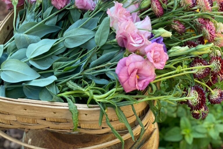 Gardener’s Gift Guide: Kitchen Edition featured image