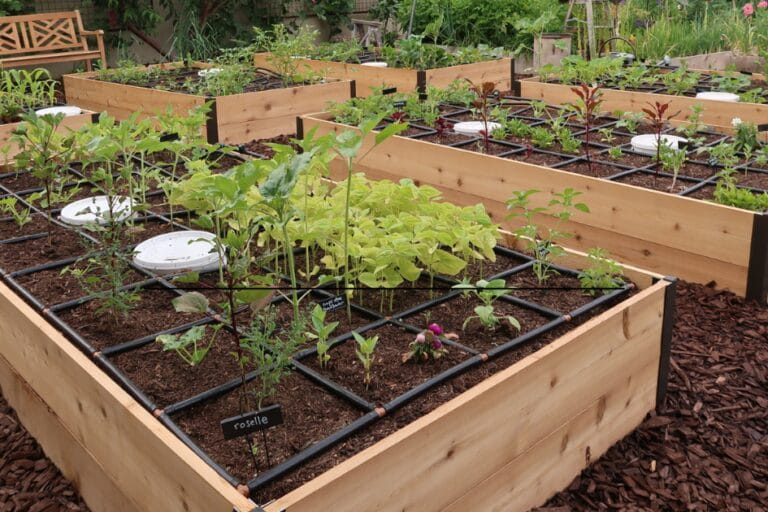 Gardener’s Supply Cedar Raised Beds featured image