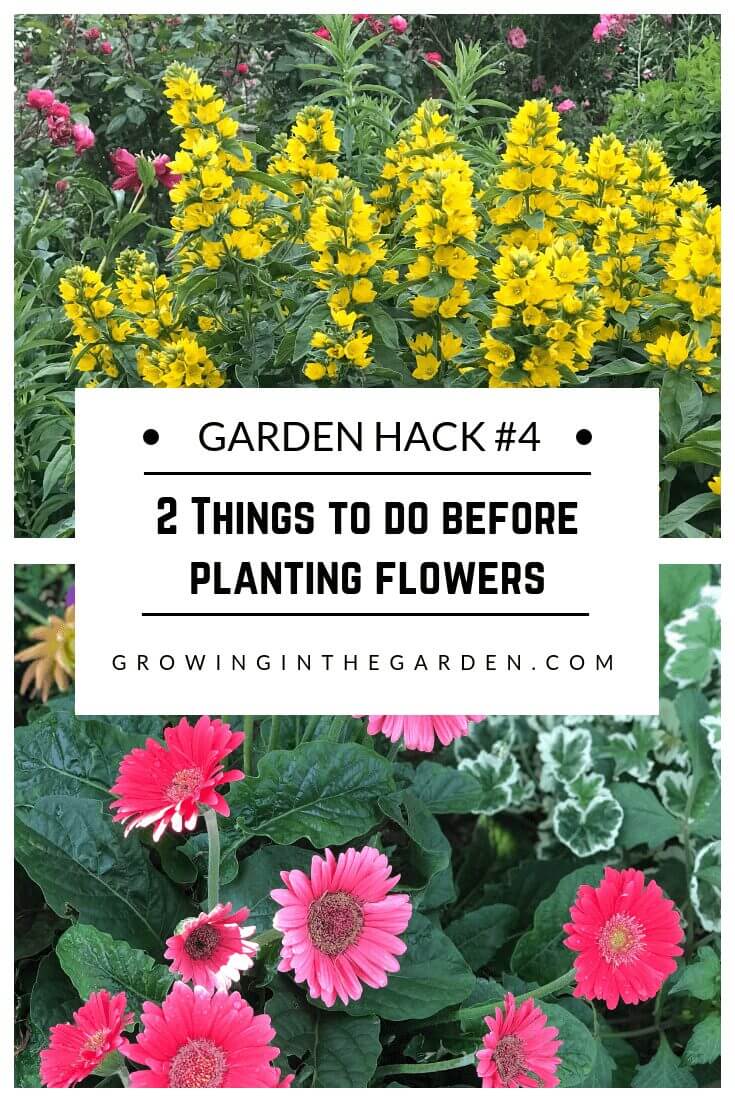 Gardening Hacks: 9 Simple Tips for the Garden #gardenhack #gardentips #howtogarden 2 Things to do before planting flowers