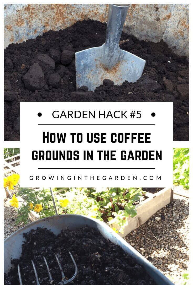 Gardening Hacks: 9 Simple Tips for the Garden #gardenhack #gardentips #howtogarden How to use coffee grounds in the garden​