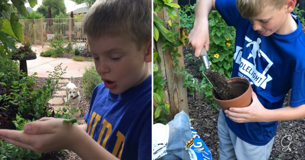 Gardening with Kids: 10 Tips for Growing Together