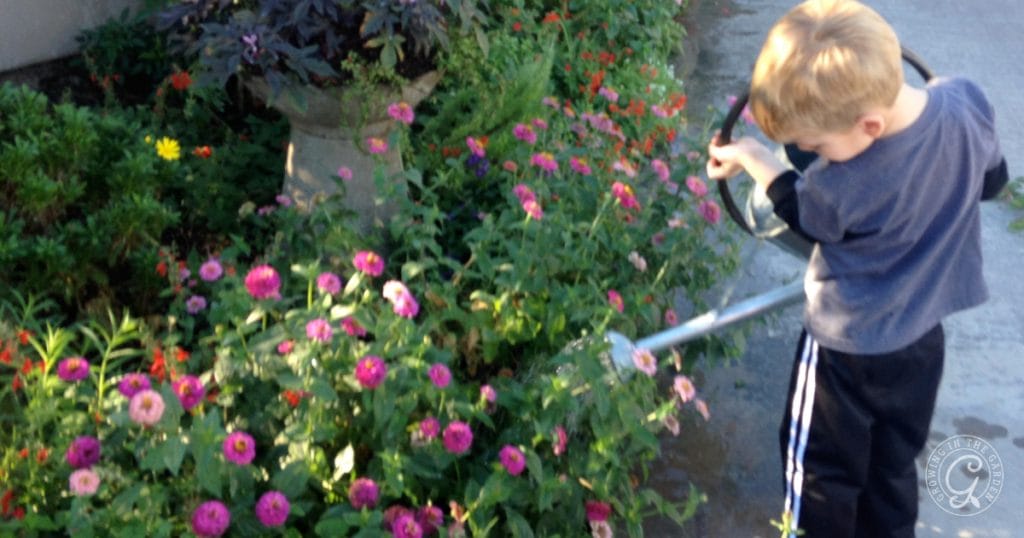 Gardening with Kids: 10 Tips for Growing Together