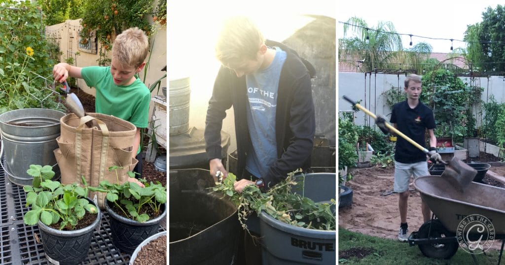 Gardening with Kids: 10 Tips for Growing Together