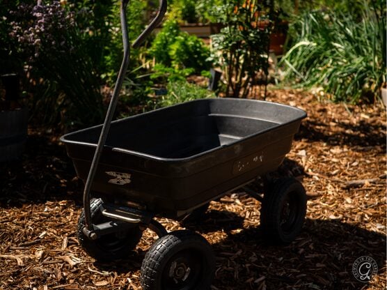 Gorilla Cart featured image