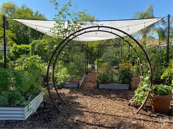 Gracie Modern Arbor featured image