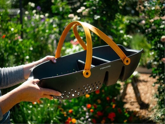Fiskars Garden Harvest Basket featured image