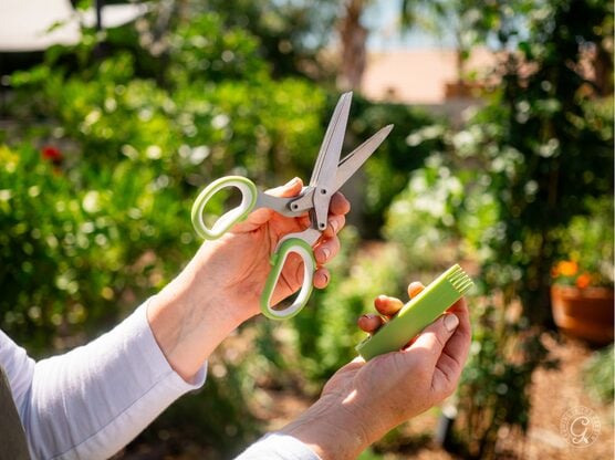 Herb Scissors featured image