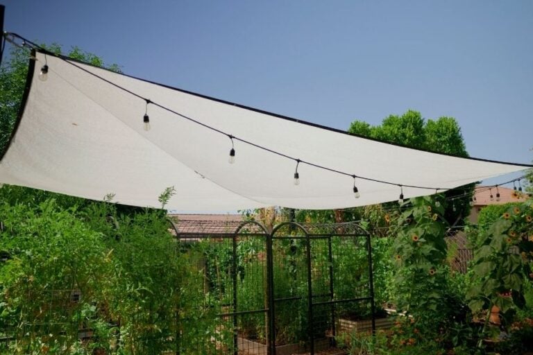 How to Add Shade Cloth to a Hot Summer Garden (Easy DIY Setup) featured image