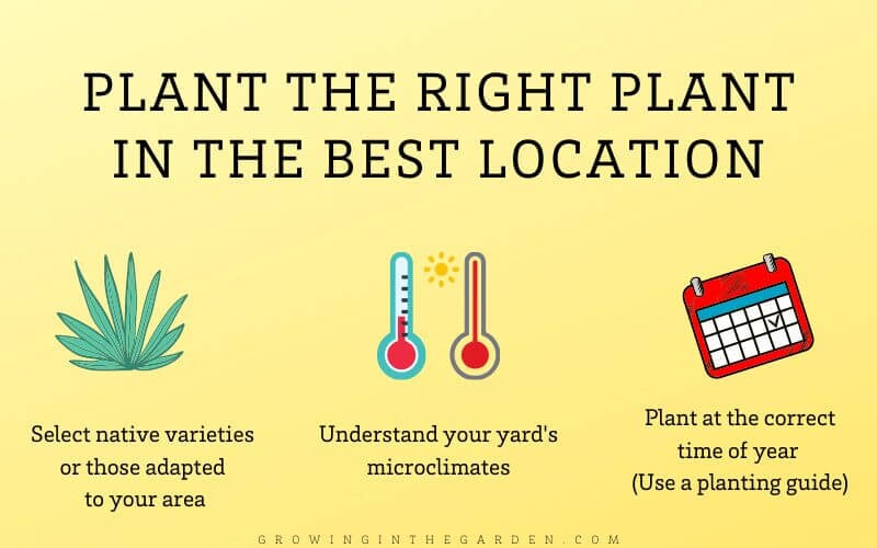 How to be an organic gardener_ Plant the right plant in the right place and the correct time so it can thrive