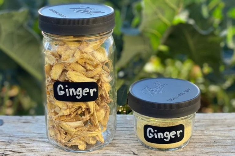 How to Preserve Ginger: Freezing, Dehydrating & Ginger Paste featured image