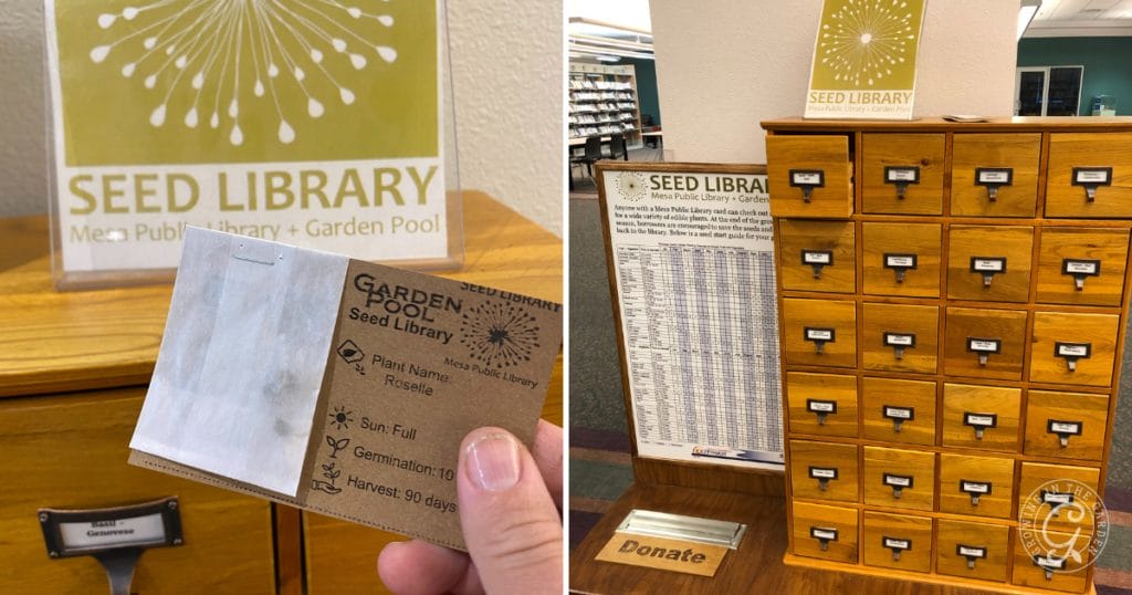 Swap seeds or cuttings with friends, neighbors, or online communities. This way, you can get a variety of plants for free.