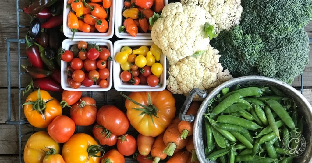 Grow vegetables that produce a lot of food, like tomatoes, zucchini, and beans. You'll get large harvests with less expense. Choose crops you enjoy eating so there is less waste.&nbsp;