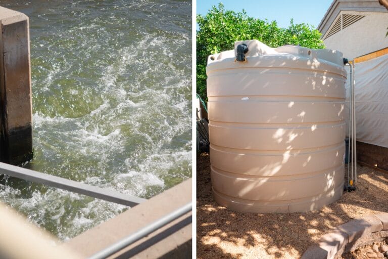 How to Water Your Garden With Flood Irrigation featured image