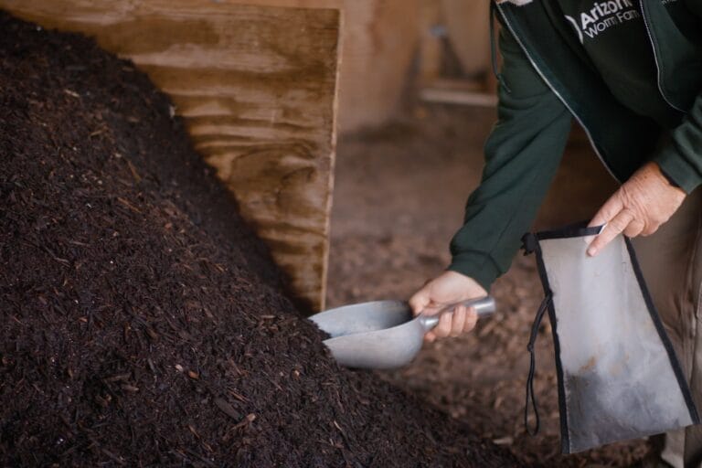 How & Why to Make Worm Castings Tea featured image