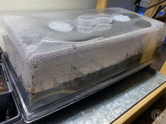 Bootstrap Farmer Humidity Domes featured image