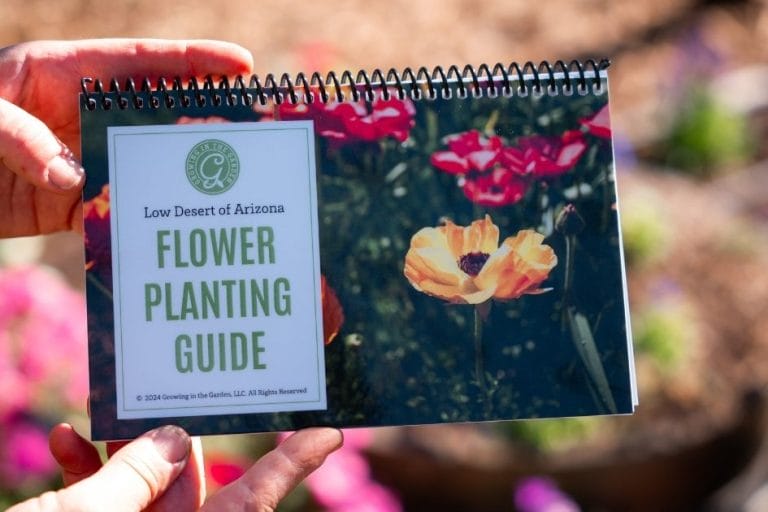 How to Use the Low Desert Flower Planting Guide featured image