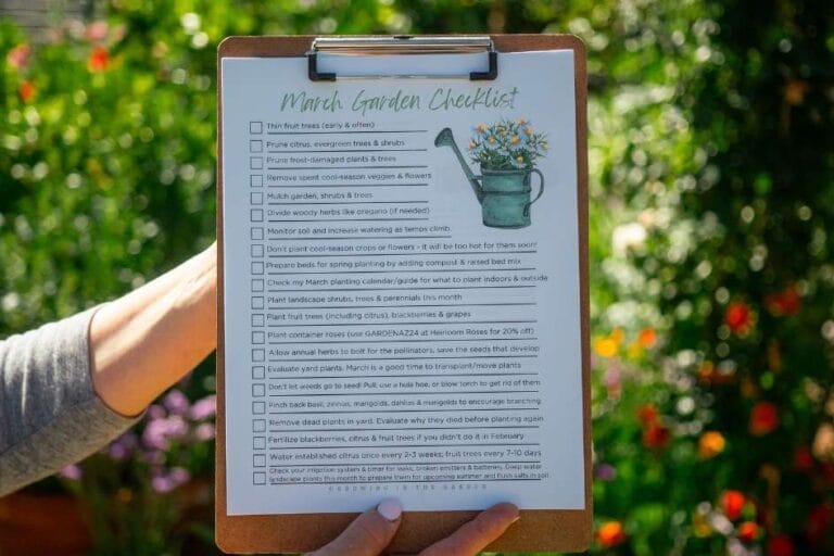 Arizona Garden in March featured image