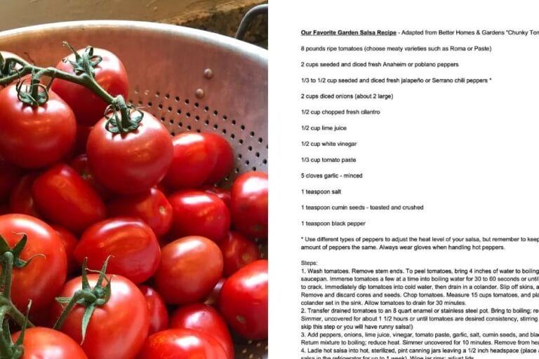 Our Favorite Garden Salsa Recipe featured image