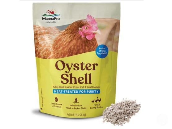 Oyster Shell featured image