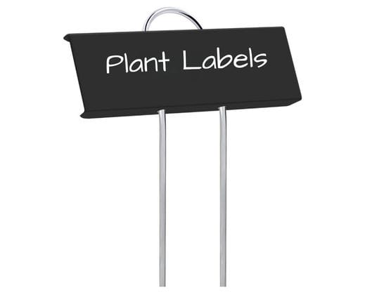 Plant Labels featured image