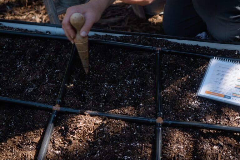 Plant Spacing in Square Foot Gardens featured image