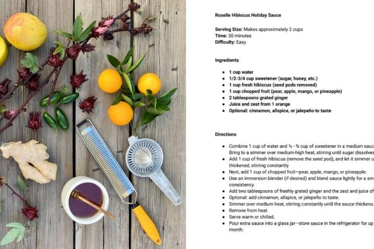 Roselle Hibiscus Holiday Sauce featured image