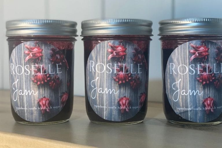 How to use Roselle Hibiscus: 5 Tasty Recipes featured image